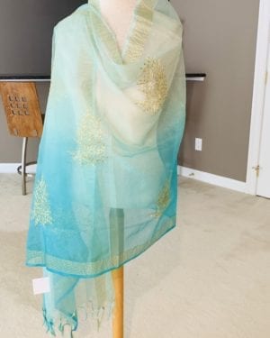 Dishi Gota work Dupatta