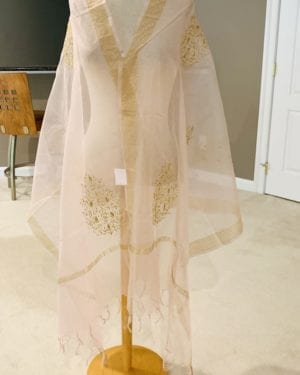 Intricate gold embroidery organza Dupatta