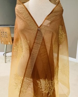 Dishi Intricate gold embroidery organza Dupatta