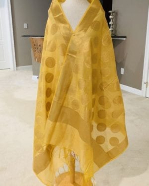 Beautiful Banarsi Brocade Dupatta