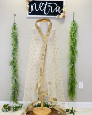 Gold Dupatta with Sequins work and gold border