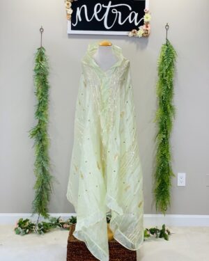 Dharana  Gota work Dupatta Mint
