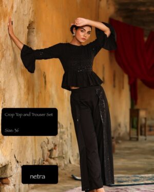 Indo western Top and pants set Size 36 Small
