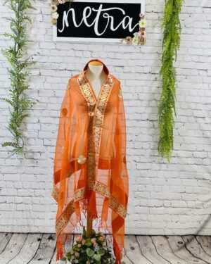 Gota work bordered Dupatta on net fabric