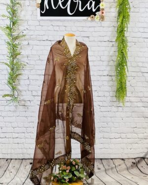 Organza hand work Dupatta