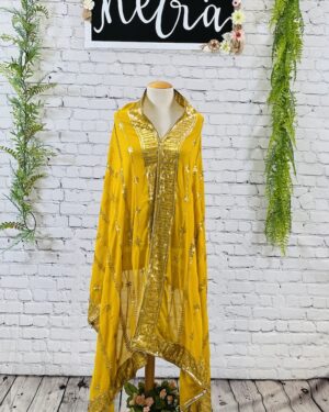 Georgette sequins hand work Dupatta
