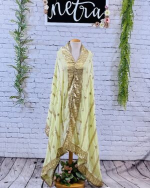 Georgette sequins hand work Dupatta