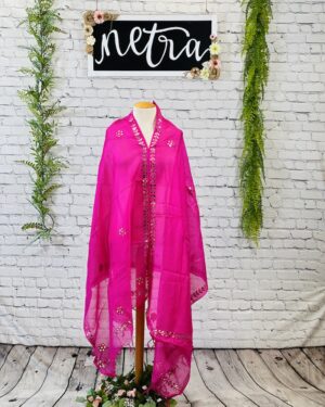 Kota Doria Gota Hand work dupatta