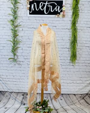 Net mirror work dupatta
