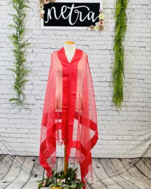 Net mirror work dupatta