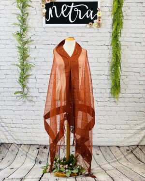 Net mirror work dupatta