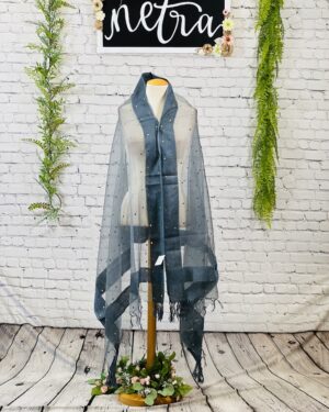 Net mirror work dupatta
