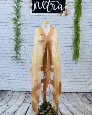 Net mirror work dupatta