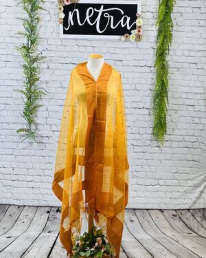 Net mirror work dupatta