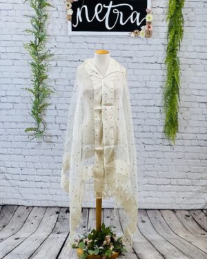 Net mirror work dupatta