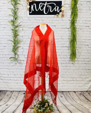 Net mirror work dupatta