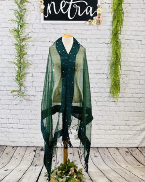 Net mirror work dupatta
