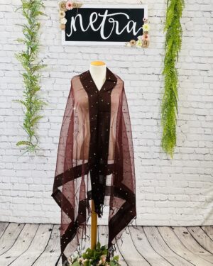 Net mirror work dupatta