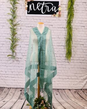 Net mirror work dupatta