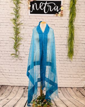 Net mirror work dupatta