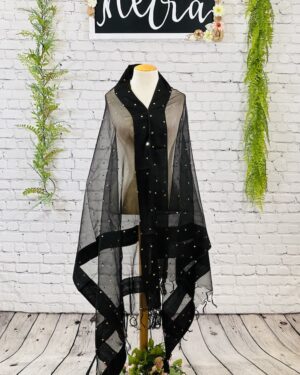 Net mirror work dupatta