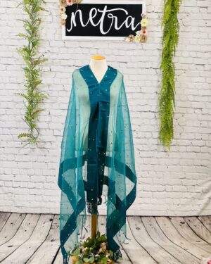 Net mirror work dupatta