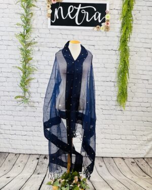 Net mirror embroidered dupatta