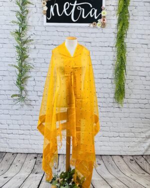 Net mirror embroidered dupatta