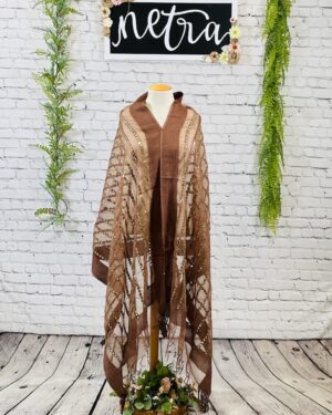 Net mirror embroidered dupatta
