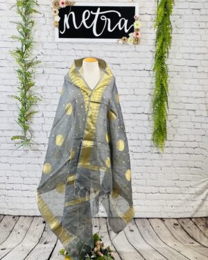 Chanderi Brocade gold emblems dupatta