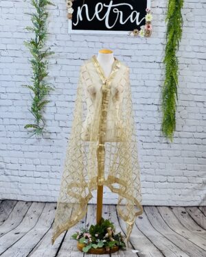 Gold hand work Dupatta