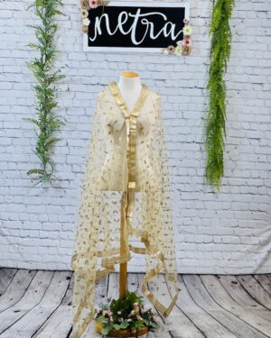 Gold hand work Dupatta