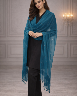 Net mirror work dupatta