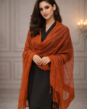 Net mirror work dupatta