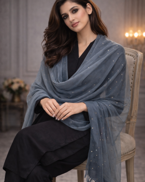 Net mirror work dupatta