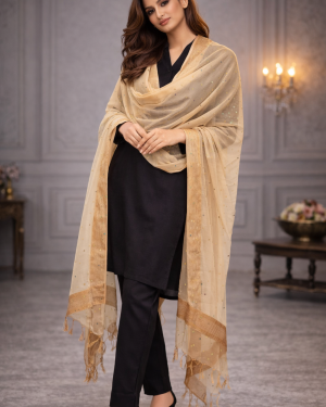 Net mirror work dupatta