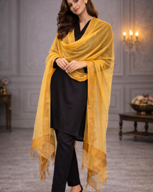 Net mirror work dupatta