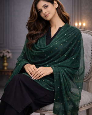 Net mirror work dupatta