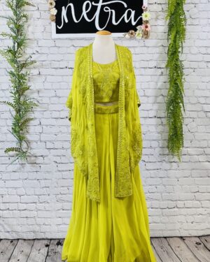 Embroidered georgette crop top sharara outfit Size 38