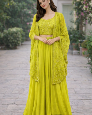 Embroidered georgette crop top sharara outfit Size 38